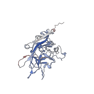 21668_6wh7_t_v1-4
Capsid structure of Penaeus monodon metallodensovirus following EDTA treatment