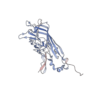21668_6wh7_u_v1-3
Capsid structure of Penaeus monodon metallodensovirus following EDTA treatment
