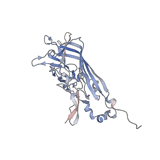 21668_6wh7_u_v1-4
Capsid structure of Penaeus monodon metallodensovirus following EDTA treatment