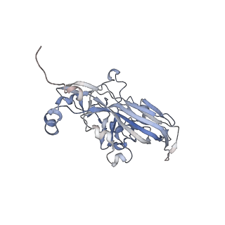 21668_6wh7_v_v1-3
Capsid structure of Penaeus monodon metallodensovirus following EDTA treatment