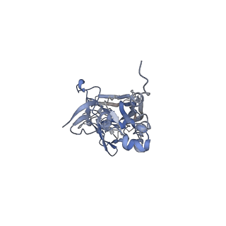 21668_6wh7_w_v1-3
Capsid structure of Penaeus monodon metallodensovirus following EDTA treatment