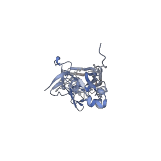 21668_6wh7_w_v1-4
Capsid structure of Penaeus monodon metallodensovirus following EDTA treatment