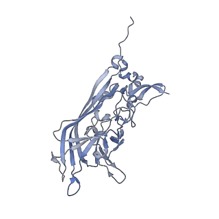 21668_6wh7_y_v1-3
Capsid structure of Penaeus monodon metallodensovirus following EDTA treatment