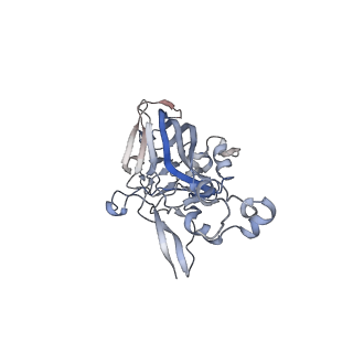 21668_6wh7_z_v1-3
Capsid structure of Penaeus monodon metallodensovirus following EDTA treatment