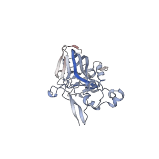 21668_6wh7_z_v1-4
Capsid structure of Penaeus monodon metallodensovirus following EDTA treatment