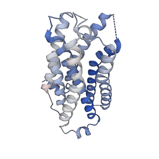 21669_6wha_A_v1-0
HTR2A bound to 25-CN-NBOH in complex with a mini-Galpha-q protein, beta/gamma subunits and an active-state stabilizing single-chain variable fragment (scFv16) obtained by cryo-electron microscopy (cryoEM)