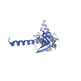 21669_6wha_B_v1-0
HTR2A bound to 25-CN-NBOH in complex with a mini-Galpha-q protein, beta/gamma subunits and an active-state stabilizing single-chain variable fragment (scFv16) obtained by cryo-electron microscopy (cryoEM)