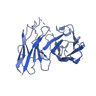 21669_6wha_E_v1-0
HTR2A bound to 25-CN-NBOH in complex with a mini-Galpha-q protein, beta/gamma subunits and an active-state stabilizing single-chain variable fragment (scFv16) obtained by cryo-electron microscopy (cryoEM)