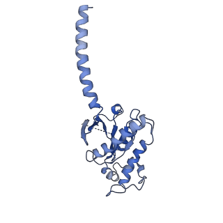 21671_6whc_A_v1-1
CryoEM Structure of the glucagon receptor with a dual-agonist peptide