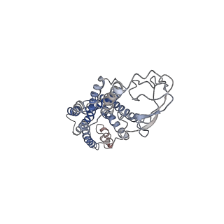 21671_6whc_R_v1-1
CryoEM Structure of the glucagon receptor with a dual-agonist peptide