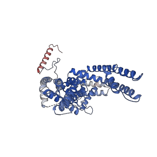 21672_6whg_A_v1-2
PI3P and calcium bound full-length TRPY1 in detergent