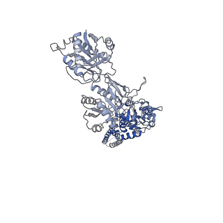 21673_6whr_B_v1-0
GluN1b-GluN2B NMDA receptor in non-active 2 conformation at 4 angstrom resolution