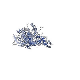21674_6whs_A_v1-0
GluN1b-GluN2B NMDA receptor in non-active 1 conformation at 3.95 angstrom resolution