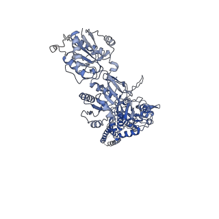 21674_6whs_B_v1-0
GluN1b-GluN2B NMDA receptor in non-active 1 conformation at 3.95 angstrom resolution