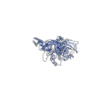 21674_6whs_C_v1-0
GluN1b-GluN2B NMDA receptor in non-active 1 conformation at 3.95 angstrom resolution