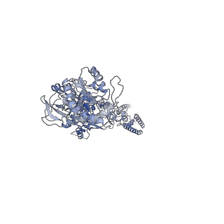 21675_6wht_A_v1-0
GluN1b-GluN2B NMDA receptor in active conformation at 4.4 angstrom resolution
