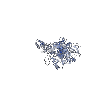 21675_6wht_C_v1-0
GluN1b-GluN2B NMDA receptor in active conformation at 4.4 angstrom resolution