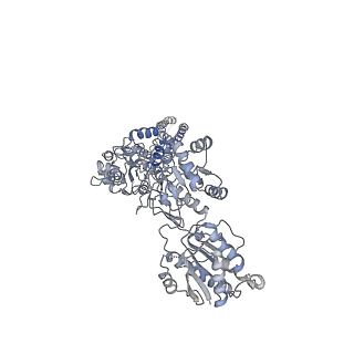 21675_6wht_D_v1-0
GluN1b-GluN2B NMDA receptor in active conformation at 4.4 angstrom resolution