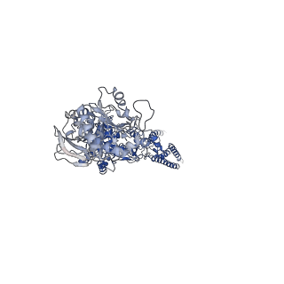 21676_6whu_A_v1-0
GluN1b-GluN2B NMDA receptor in complex with SDZ 220-040 and L689,560, class 1