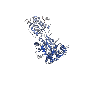 21676_6whu_B_v1-0
GluN1b-GluN2B NMDA receptor in complex with SDZ 220-040 and L689,560, class 1