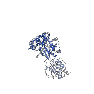 21676_6whu_D_v1-0
GluN1b-GluN2B NMDA receptor in complex with SDZ 220-040 and L689,560, class 1