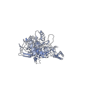 21677_6whv_A_v1-0
GluN1b-GluN2B NMDA receptor in complex with SDZ 220-040 and L689,560, class 2