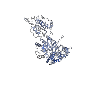 21677_6whv_B_v1-0
GluN1b-GluN2B NMDA receptor in complex with SDZ 220-040 and L689,560, class 2
