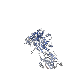 21677_6whv_D_v1-0
GluN1b-GluN2B NMDA receptor in complex with SDZ 220-040 and L689,560, class 2