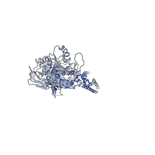 21678_6whw_A_v1-2
GluN1b-GluN2B NMDA receptor in complex with GluN2B antagonist SDZ 220-040, class 1
