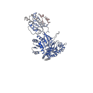 21678_6whw_B_v1-2
GluN1b-GluN2B NMDA receptor in complex with GluN2B antagonist SDZ 220-040, class 1