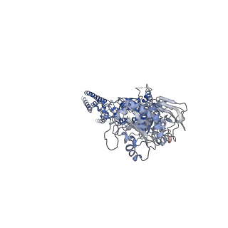 21678_6whw_C_v1-2
GluN1b-GluN2B NMDA receptor in complex with GluN2B antagonist SDZ 220-040, class 1