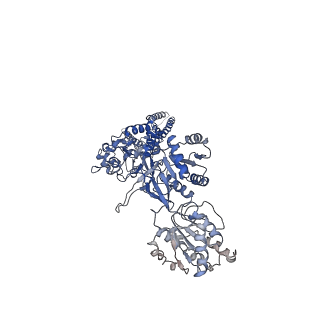 21678_6whw_D_v1-2
GluN1b-GluN2B NMDA receptor in complex with GluN2B antagonist SDZ 220-040, class 1