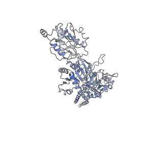 21679_6whx_B_v1-2
GluN1b-GluN2B NMDA receptor in complex with GluN2B antagonist SDZ 220-040, class 2