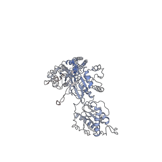 21679_6whx_D_v1-2
GluN1b-GluN2B NMDA receptor in complex with GluN2B antagonist SDZ 220-040, class 2
