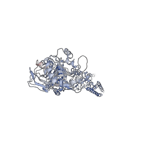 21680_6why_A_v1-0
GluN1b-GluN2B NMDA receptor in complex with GluN1 antagonist L689,560, class 1