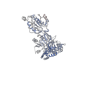 21680_6why_B_v1-0
GluN1b-GluN2B NMDA receptor in complex with GluN1 antagonist L689,560, class 1