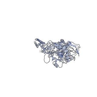 21680_6why_C_v2-1
GluN1b-GluN2B NMDA receptor in complex with GluN1 antagonist L689,560, class 1