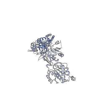 21680_6why_D_v1-0
GluN1b-GluN2B NMDA receptor in complex with GluN1 antagonist L689,560, class 1
