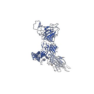 32498_7whb_B_v1-2
SARS-CoV-2 spike in complex with the ZB8 neutralizing antibody Fab (3U)