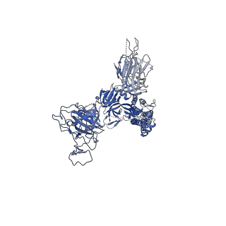 32498_7whb_C_v1-2
SARS-CoV-2 spike in complex with the ZB8 neutralizing antibody Fab (3U)