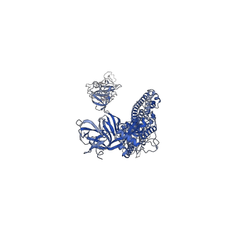 32500_7whi_A_v1-0
The state 2 complex structure of Omicron spike with Bn03 (2-up RBD, 4 nanobodies)