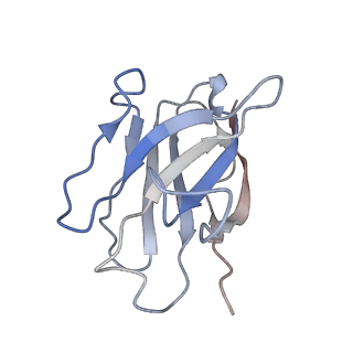 32500_7whi_D_v1-0
The state 2 complex structure of Omicron spike with Bn03 (2-up RBD, 4 nanobodies)