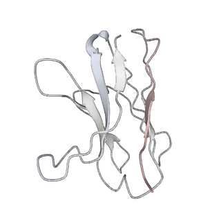 32500_7whi_E_v1-0
The state 2 complex structure of Omicron spike with Bn03 (2-up RBD, 4 nanobodies)