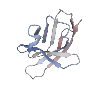 32500_7whi_G_v1-0
The state 2 complex structure of Omicron spike with Bn03 (2-up RBD, 4 nanobodies)