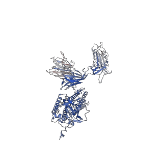 32501_7whj_B_v1-0
The state 1 complex structure of Omicron spike with Bn03 (1-up RBD, 3 nanobodies)