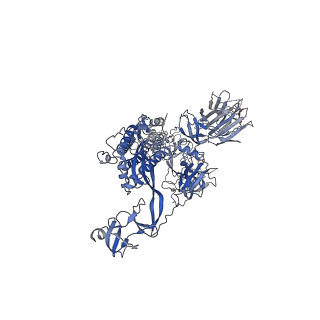 32501_7whj_C_v1-0
The state 1 complex structure of Omicron spike with Bn03 (1-up RBD, 3 nanobodies)