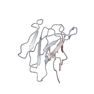 32501_7whj_D_v1-0
The state 1 complex structure of Omicron spike with Bn03 (1-up RBD, 3 nanobodies)