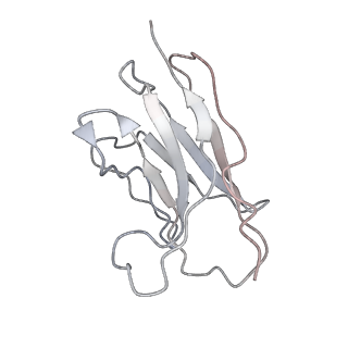 32501_7whj_E_v1-0
The state 1 complex structure of Omicron spike with Bn03 (1-up RBD, 3 nanobodies)