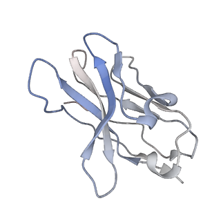 32501_7whj_F_v1-0
The state 1 complex structure of Omicron spike with Bn03 (1-up RBD, 3 nanobodies)