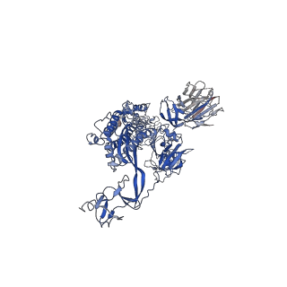 32503_7whk_B_v1-0
The state 3 complex structure of Omicron spike with Bn03 (2-up RBD, 5 nanobodies)